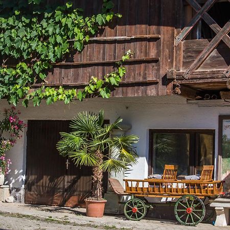 Bio Turisticna Kmetija Frcej-Zupan Villa เบลด ภายนอก รูปภาพ